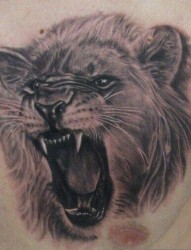 胸部帅气的狮子头纹身