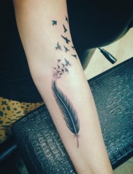 手臂上唯美漂亮的羽毛纹身
