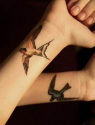 女性双臂燕子刺青