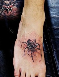 脚背时尚的蜘蛛纹身