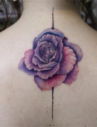 女性背部漂亮好看的玫瑰刺青