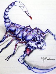 帅气时尚的蝎子纹身手稿