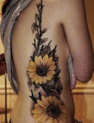 欧美女性腰部独特的向日葵纹身