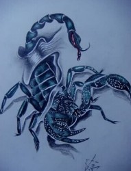 时尚帅气的蝎子纹身手稿