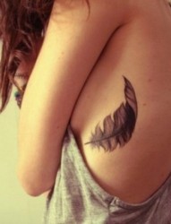 肋部漂亮时尚的羽毛纹身