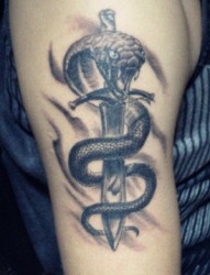 手臂个性的小蛇纹身