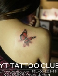 漂亮的蝴蝶后背纹身