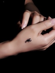 手部小巧可爱的蝎子纹身