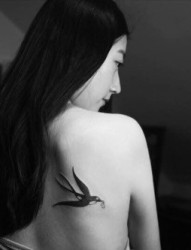 翱翔的燕子女性背部纹身