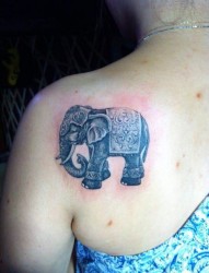 小象女性后背纹身