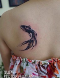 女生后背经典鱼纹身