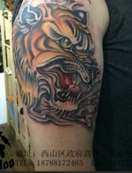 手臂上的老虎经典纹身