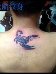 蝎子纹身  3D蝎子纹身  上海远航纹身