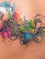 色彩斑斓的水母纹身