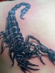 霸气的蝎子纹身