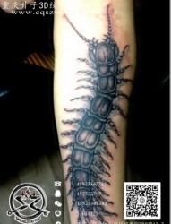 手臂纹身，重庆升子纹身，江北纹身，沙坪坝纹身，解放碑纹身