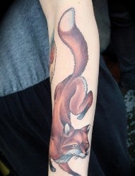 可爱迷人的手臂狐狸纹身图案