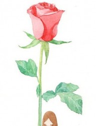 超美的玫瑰花纹身手稿欣赏