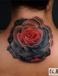 Andrés Acosta创意玫瑰花纹身作品