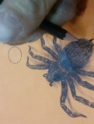 3D蜘蛛纹身手稿