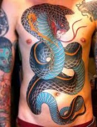 男士胸部一条大蟒蛇纹身