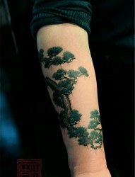 手臂个性的松树纹身
