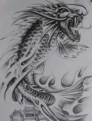 九亭纹身店，龙鱼纹身图片，胳膊龙鱼纹身，远航纹身