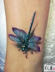 超赞的水彩蜻蜓纹身图案