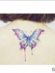 漂亮的蝴蝶图腾纹身
