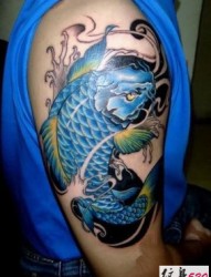 手臂大臂上时尚的鲤鱼纹身