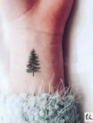 简约清新的小树纹身