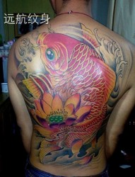 金星纹身店|金匮纹身店|梁溪纹身|彩色鱼纹身|满背鱼纹身|