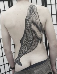 一组非凡的黑色鲸鱼纹身图案