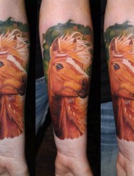 手臂个性的马头像纹身