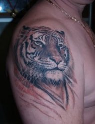 男子肩膀上很棒的虎头覆盖纹身图案