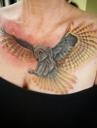 女子胸部上逼真的猫头鹰纹身图案
