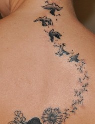 背部漂亮的蒲公英小鸟纹身