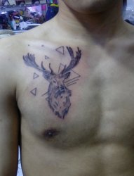 小鹿快跑胸部纹身图案