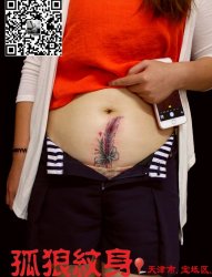 破腹产疤痕遮盖羽毛纹身 天津市宝坻区孤狼纹身工作室作品