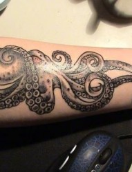 小臂上帅气的章鱼纹身