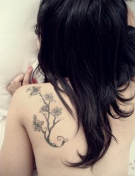 女性背部梅花传统时尚独特刺青