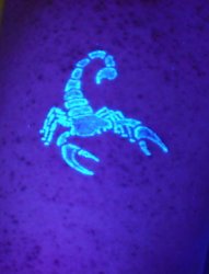荧光蝎子隐形纹身图案