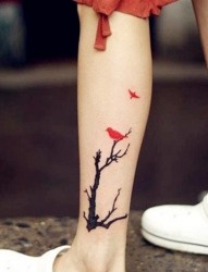 女性脚臂彩色树+小鸟漂亮意境刺青