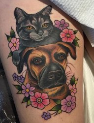 可爱的宠物肖像纹身图案来自克莱尔