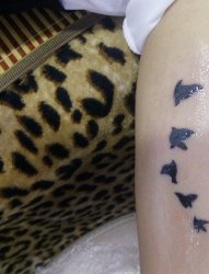 手臂小鸟图案纹身