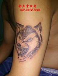狼头纹身  金左堂纹身 盖瘢痕 修改纹身 安阳纹身 水冶纹身
