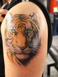 女子左手大臂上帅气的老虎纹身图片