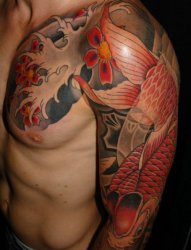 男子半甲漂亮的樱花红鲤鱼纹身图片