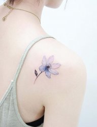 多款女生小清新微型花朵纹身图案