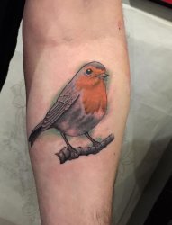 手小臂上可爱的小鸟纹身图片